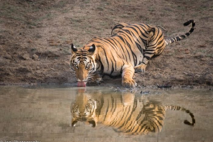 Tipeshwar National Park - Nature Explorers India