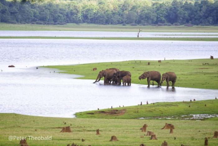 Kabini National Park - Nature Explorers India