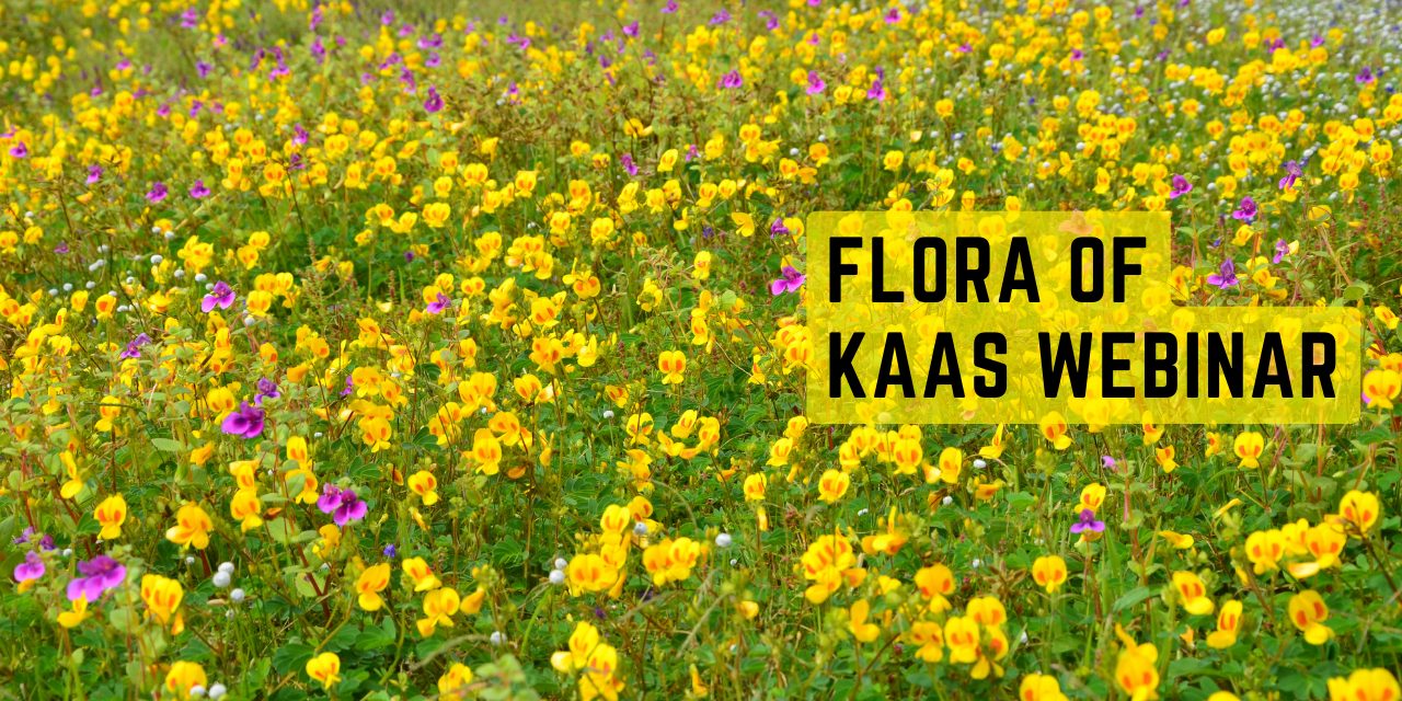 Kaas webinar event header